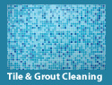 Tile & Grout